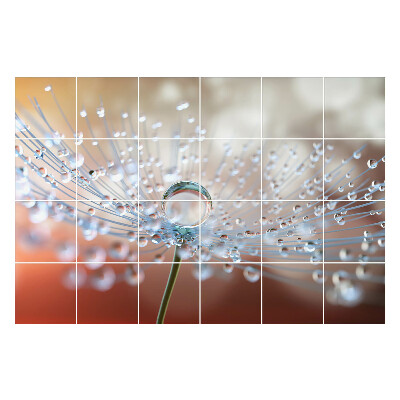 Nálepka na dlaždice Kapky na jemném výhonku