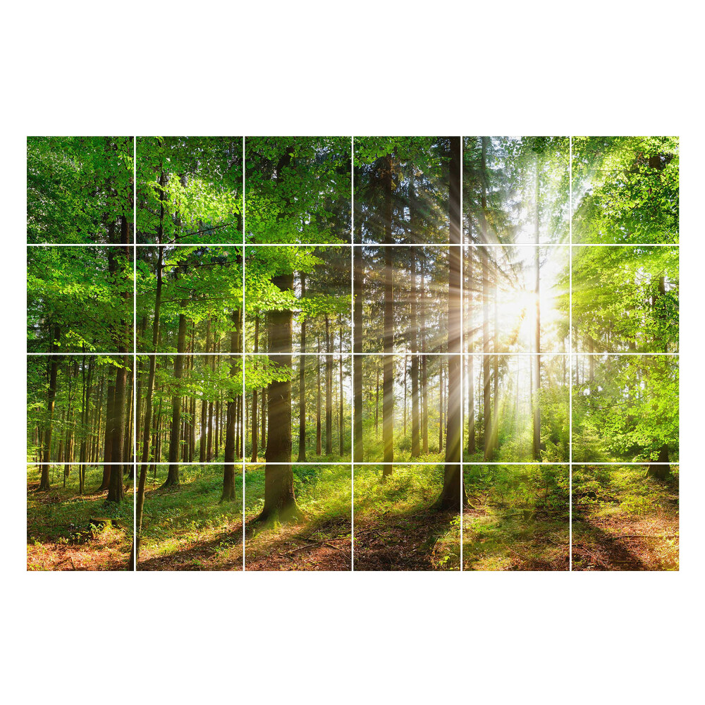 Samolepka na dlaždice Sluneční paprsky v lese
