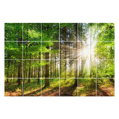 Samolepka na dlaždice Sluneční paprsky v lese