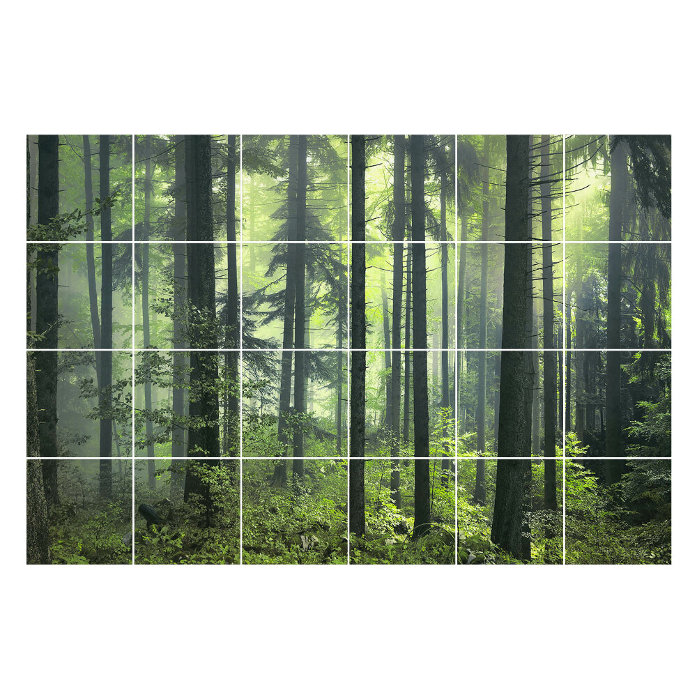 Nálepka na dlaždice Hustý les s mlhou