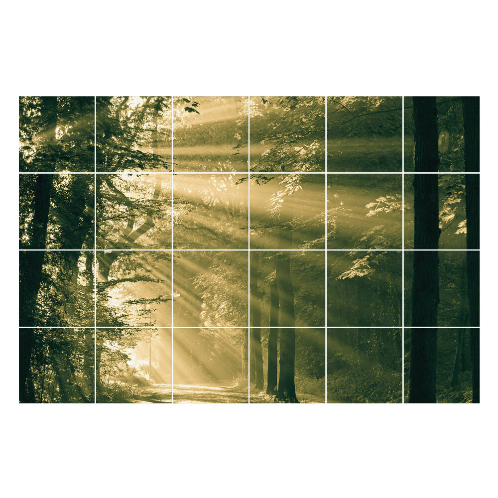 Samolepka na dlaždice Paprsky světla v lese