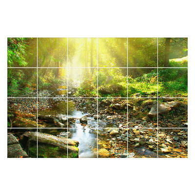 Samolepka na dlaždice Lesní potok na slunci