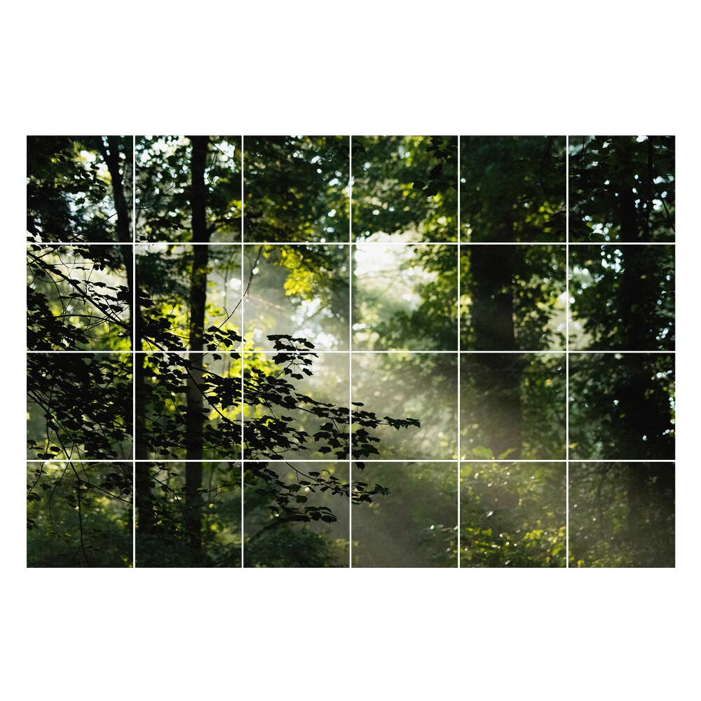 Nálepka na dlaždice Paprsky světla v lese