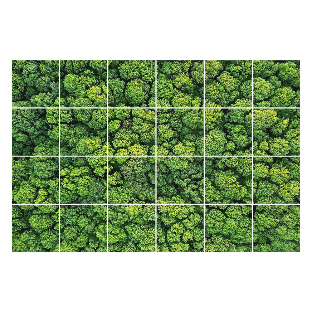 Samolepka na dlaždice Hustý les se stromy