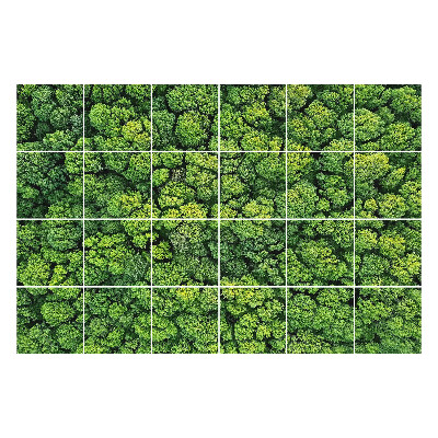 Samolepka na dlaždice Hustý les se stromy