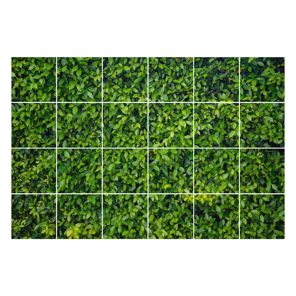 Nálepka na dlaždice Husté zelené listy