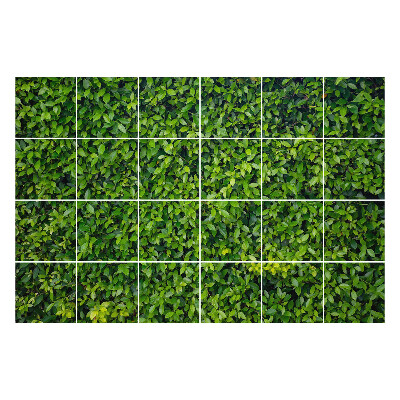 Nálepka na dlaždice Husté zelené listy