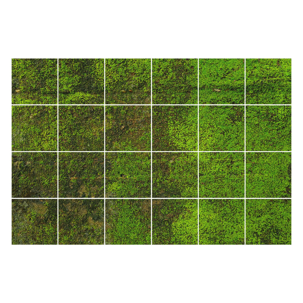 Nálepka na dlaždice Mech na kameni