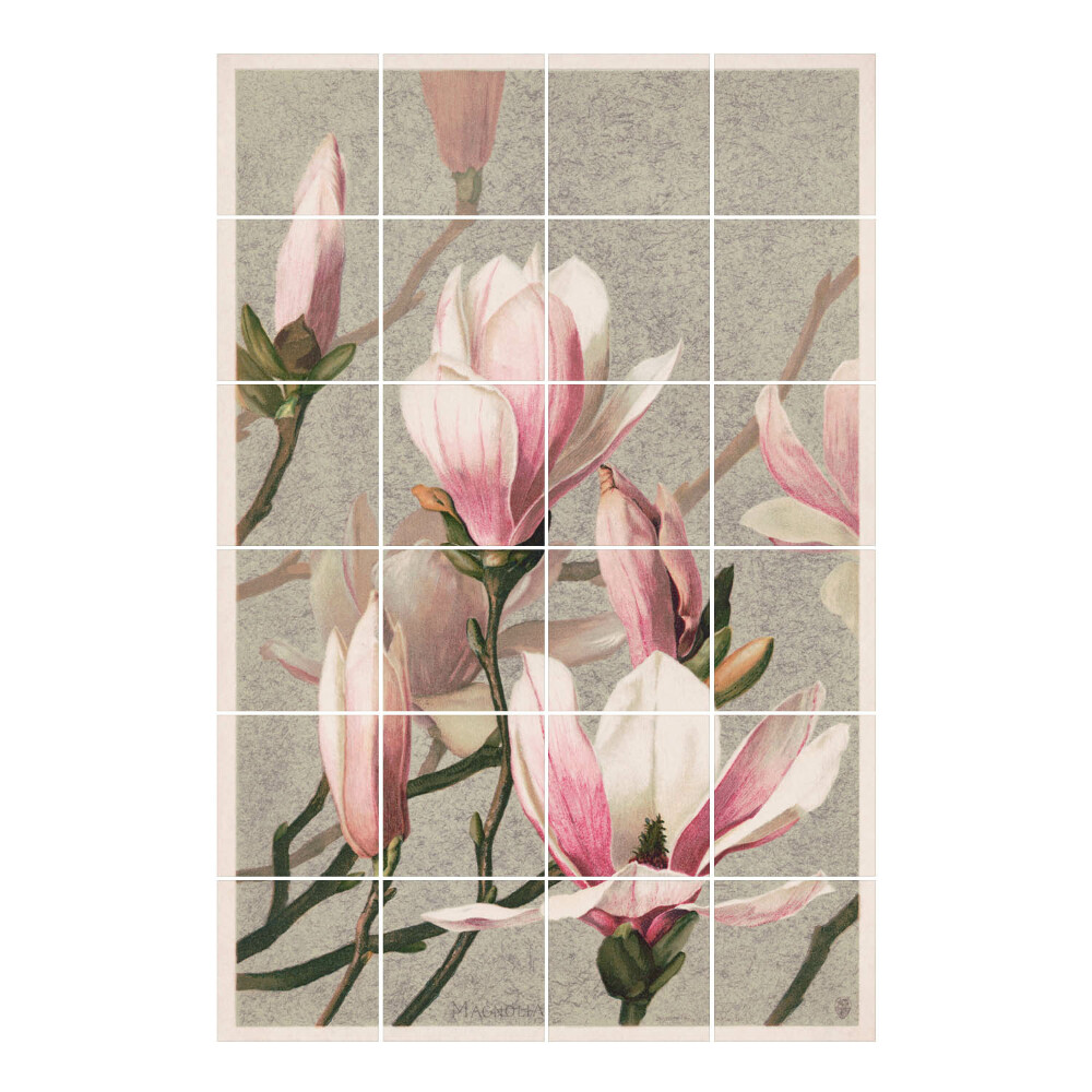 Nálepka na dlaždice Květy magnólie v květu