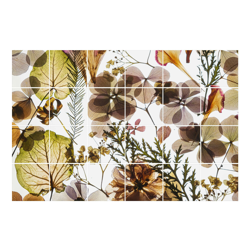 Nálepka na dlaždice Květinové rostlinné kompozice