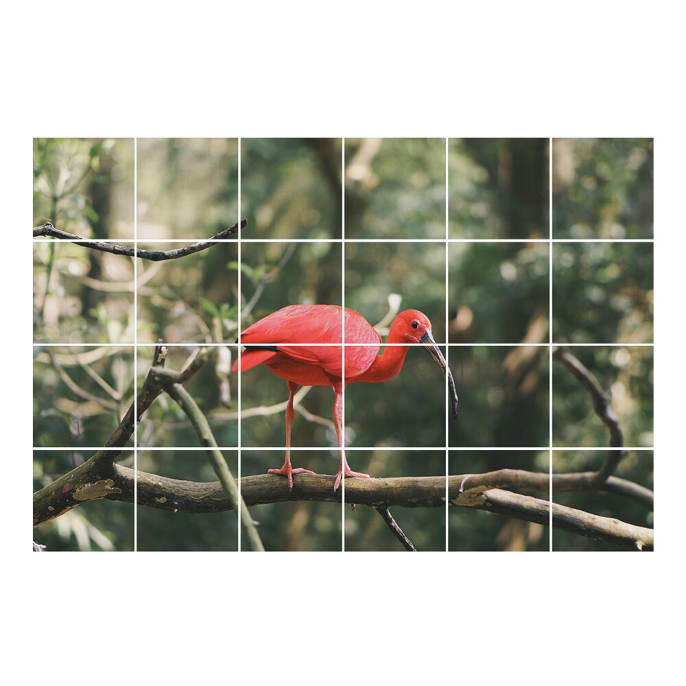 Samolepka na dlaždice Ibis na větvi