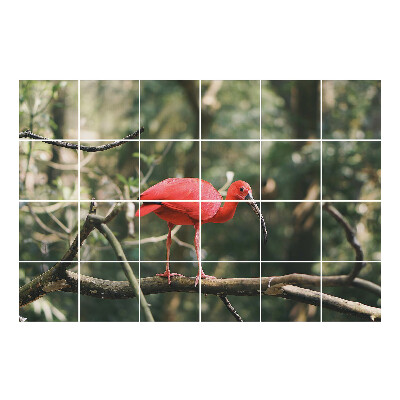 Samolepka na dlaždice Ibis na větvi