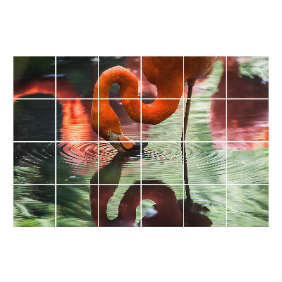 Nálepka na dlaždice Plameňák ve vodě