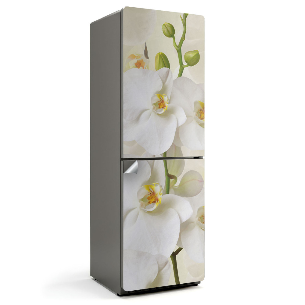 Fólie na lednici Květinové akcenty orchidejí