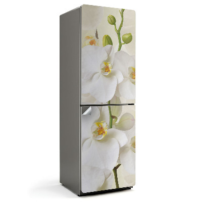 Fólie na lednici Květinové akcenty orchidejí