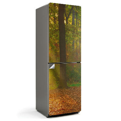 Samolepka na lednici Lesní magie v grafické podobě