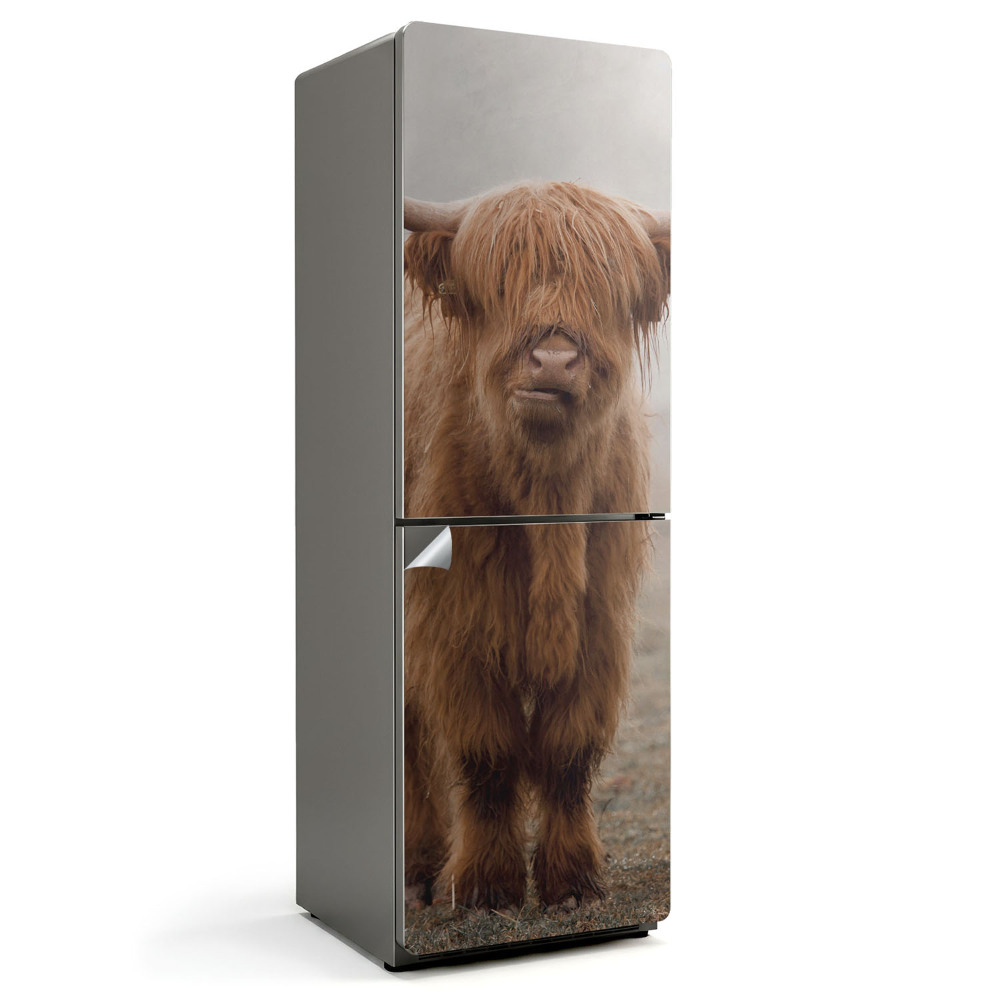 Samolepka na lednici Mladý dobytek v tajemné mlze