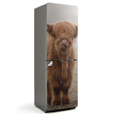 Samolepka na lednici Mladý dobytek v tajemné mlze