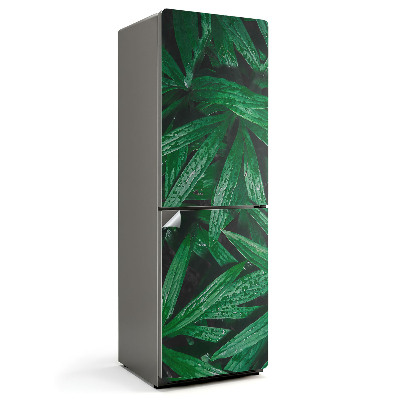 Samolepicí tapeta na lednici Listy ve tvaru kapky v harmonickém tanci