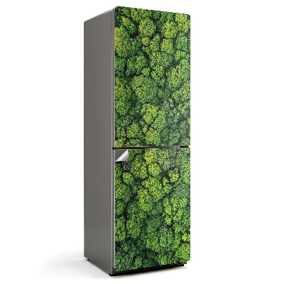 Samolepka na lednici Horská krajina se zeleným lesem