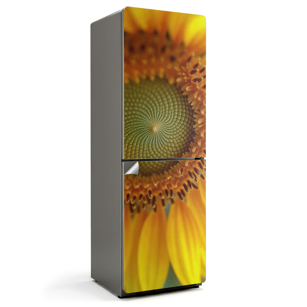 Tapeta na lednici Slunečnicový detail v barvě