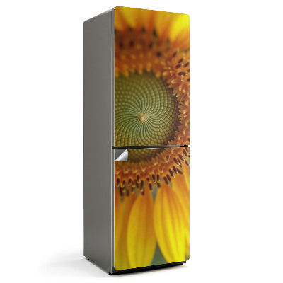 Tapeta na lednici Slunečnicový detail v barvě