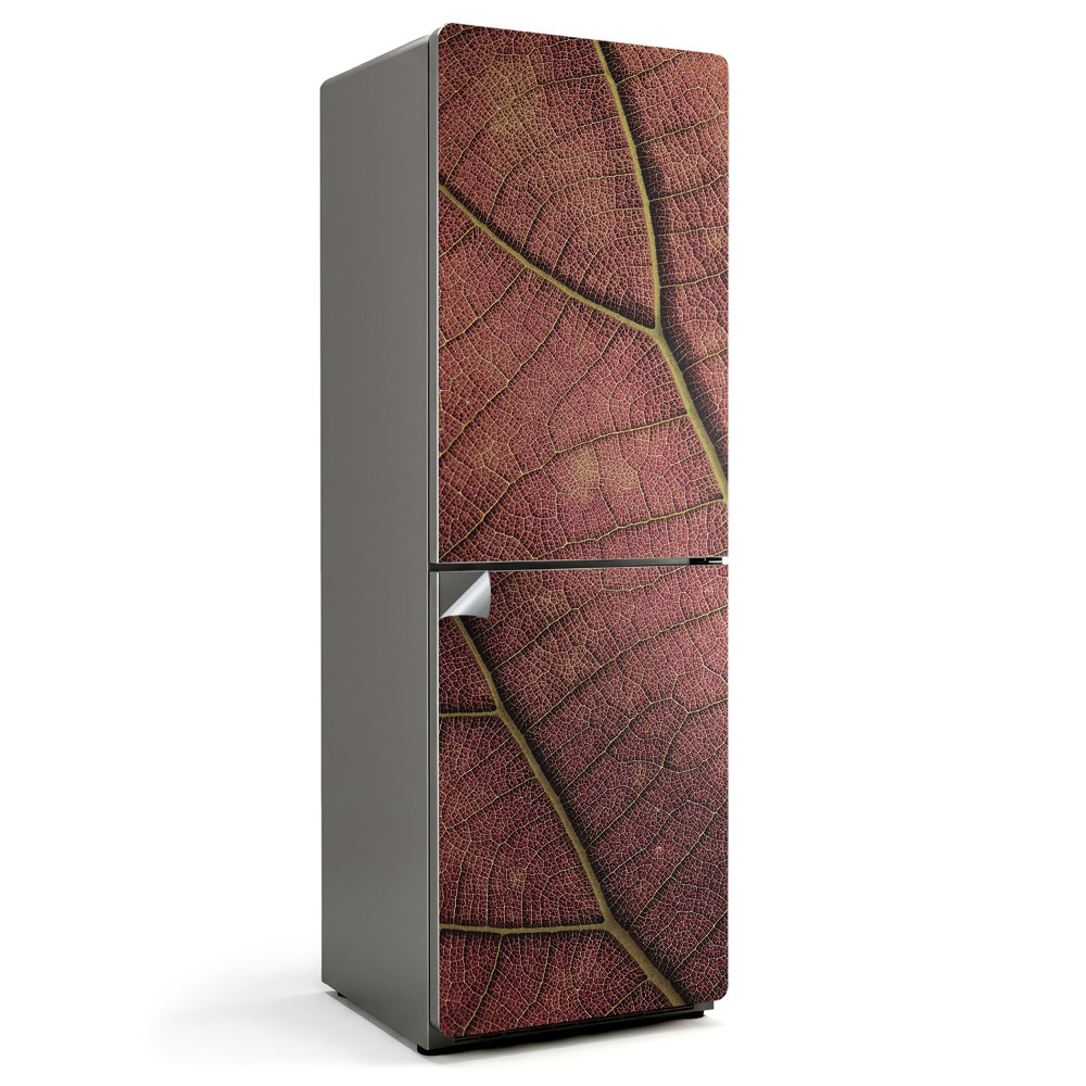 Tapeta na lednici Listová struktura s detaily