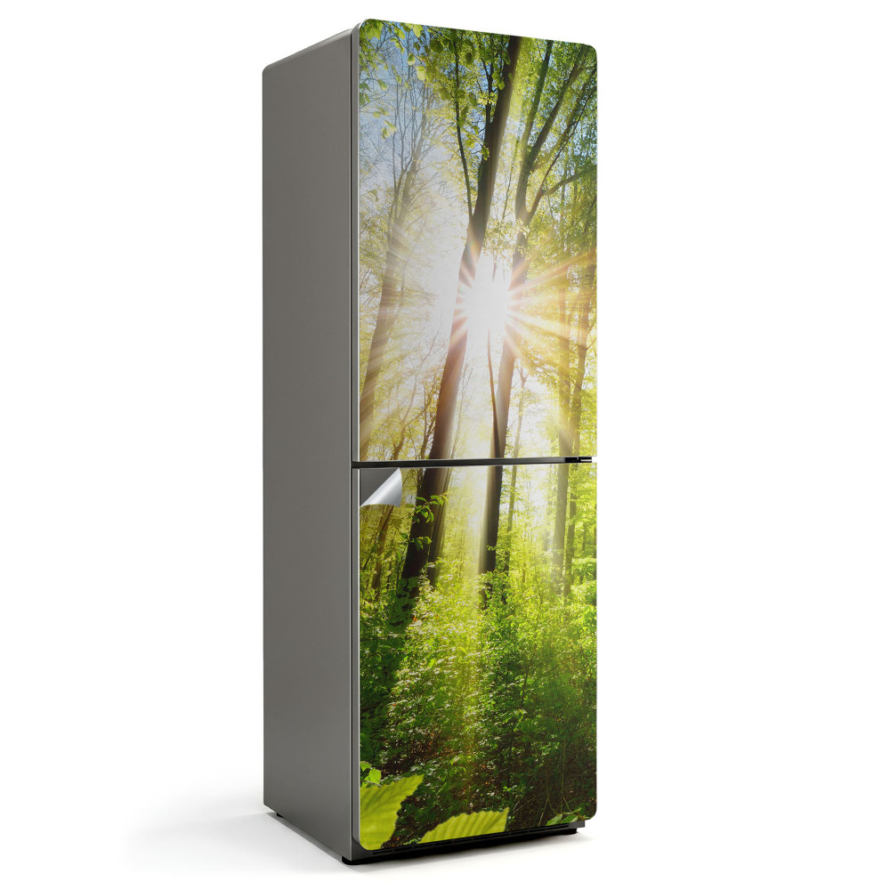 Samolepicí tapeta na lednici Zářivé paprsky slunce