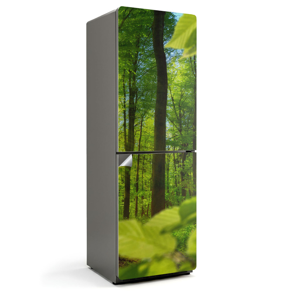 Samolepka na lednici Zelený háj v paprscích slunce