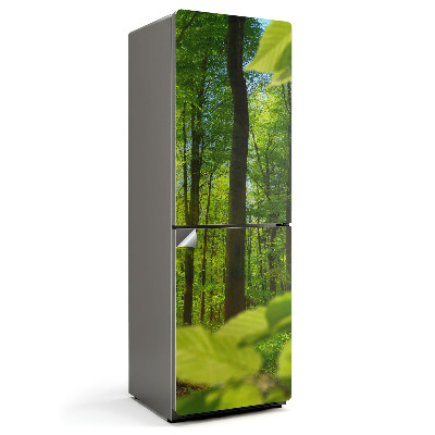 Samolepka na lednici Zelený háj v paprscích slunce