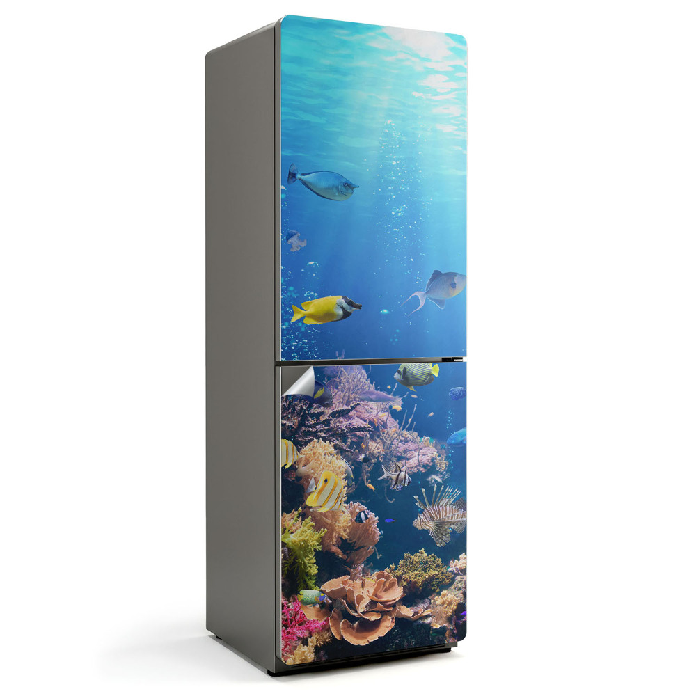 Tapeta na lednici Korálové země hlubin