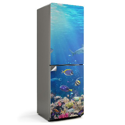 Fólie na lednici Mořská země ryb