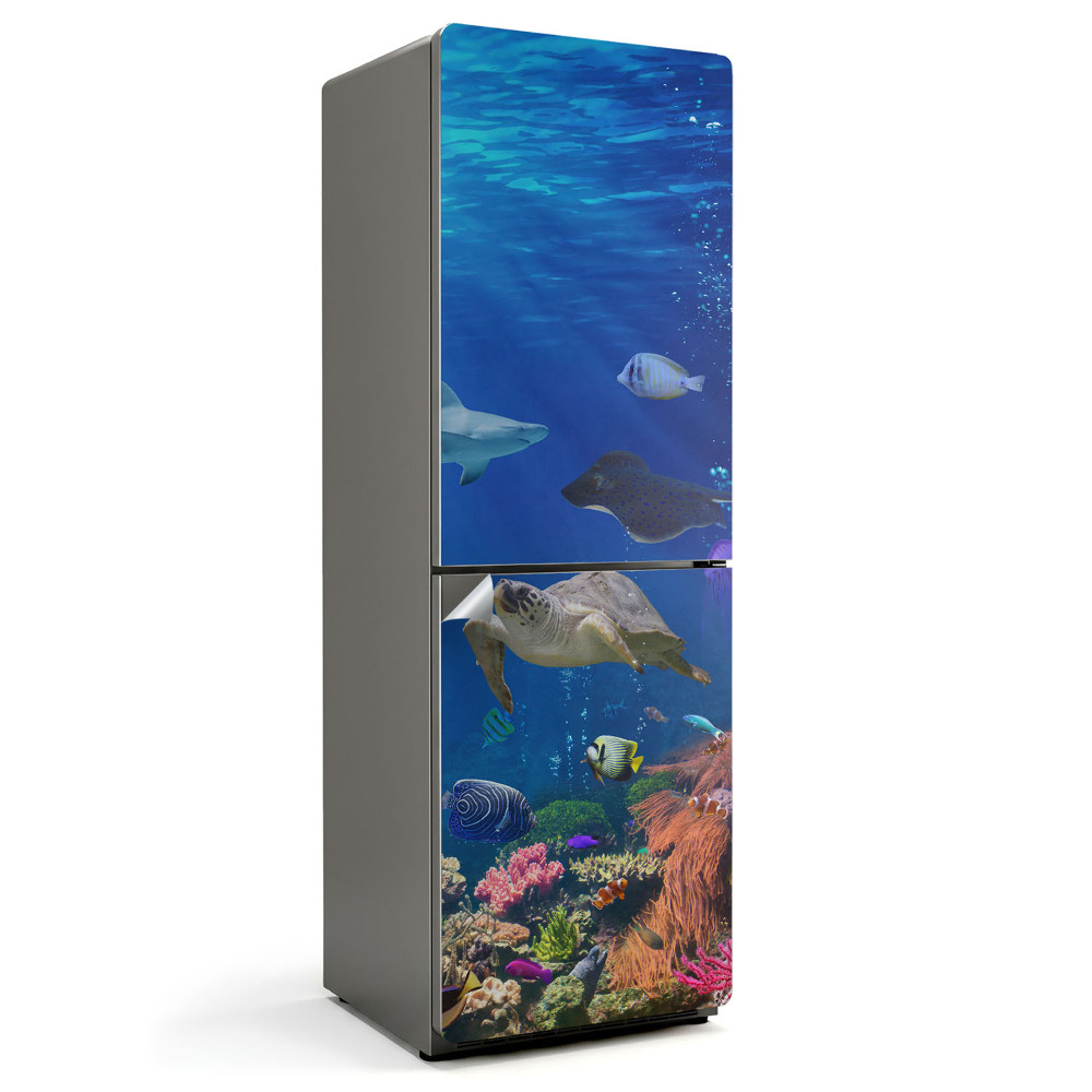 Samolepicí tapeta na lednici Mořská země s bohatstvím života