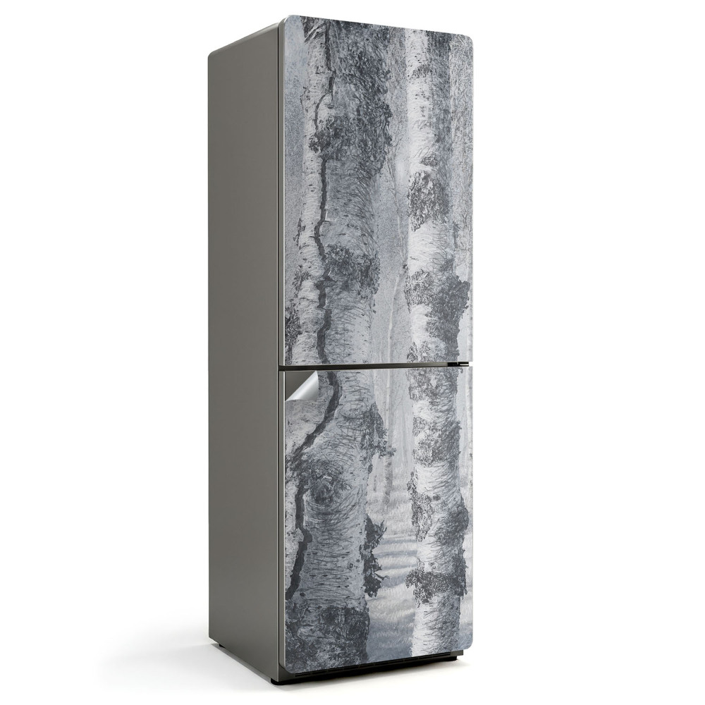 Fólie na lednici Závoj mlhy v březovém lese