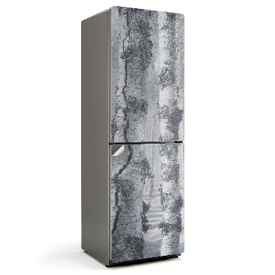 Fólie na lednici Závoj mlhy v březovém lese