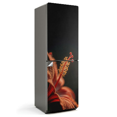 Fólie na lednici Jemný květinový detail