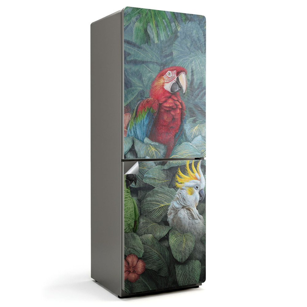 Tapeta na lednici Rajští ptáci v džungli