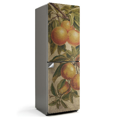 Samolepka na lednici Ovocná citrusová větev
