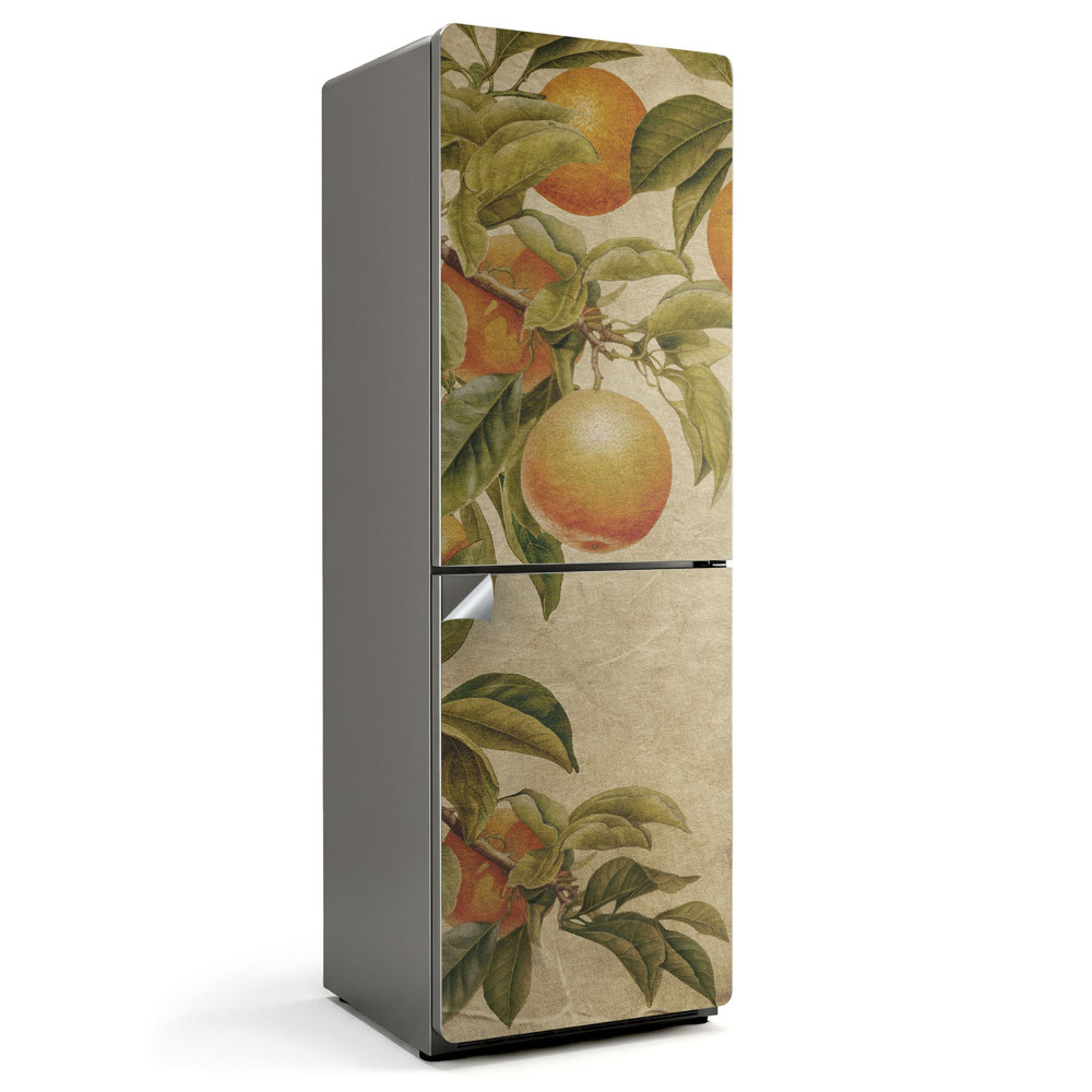 Fólie na lednici Ovoce na větvích