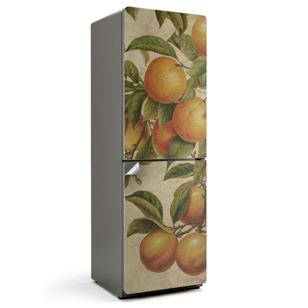 Samolepicí tapeta na lednici Ovoce na větvi stromu