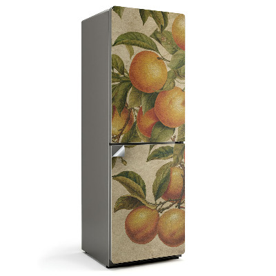Samolepicí tapeta na lednici Ovoce na větvi stromu