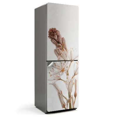 Samolenicí tapeta na lednici Jemné detaily rostliny zblízka