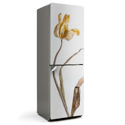 Fólie na lednici Sušení tulipánů