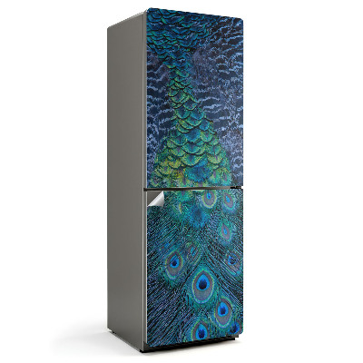 Tapeta na lednici Detail pavích per