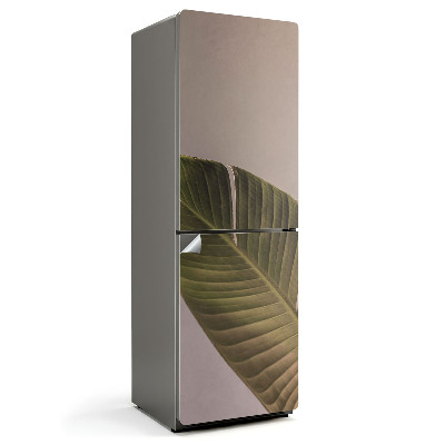 Tapeta na lednici List s jasným vzorem žilkování