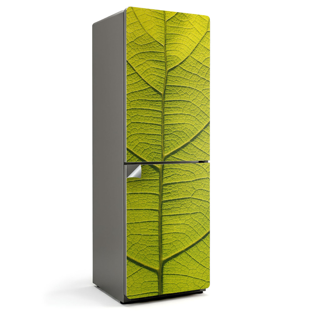 Samolepicí tapeta na lednici Detaily listnaté rostliny