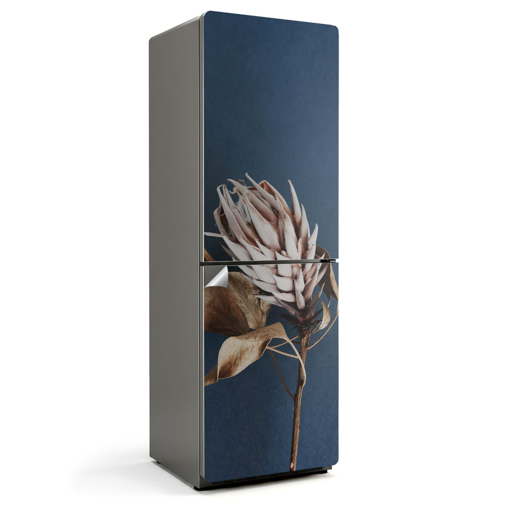 Samolepicí tapeta na lednici Detail sušené rostliny