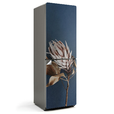 Samolepicí tapeta na lednici Detail sušené rostliny