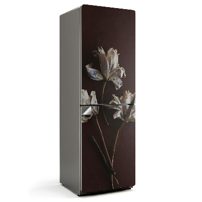 Samolepicí tapeta na lednici Květinové detaily v sušené formě