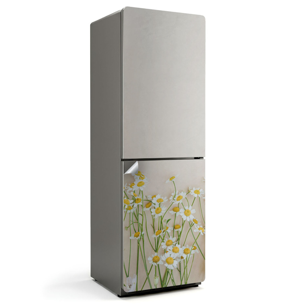 Samolepicí tapeta na lednici Květinové aranžmá v minimalistickém stylu